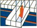 ɱ׺ަw